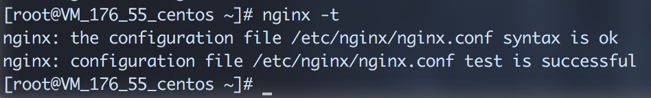 nginx-t